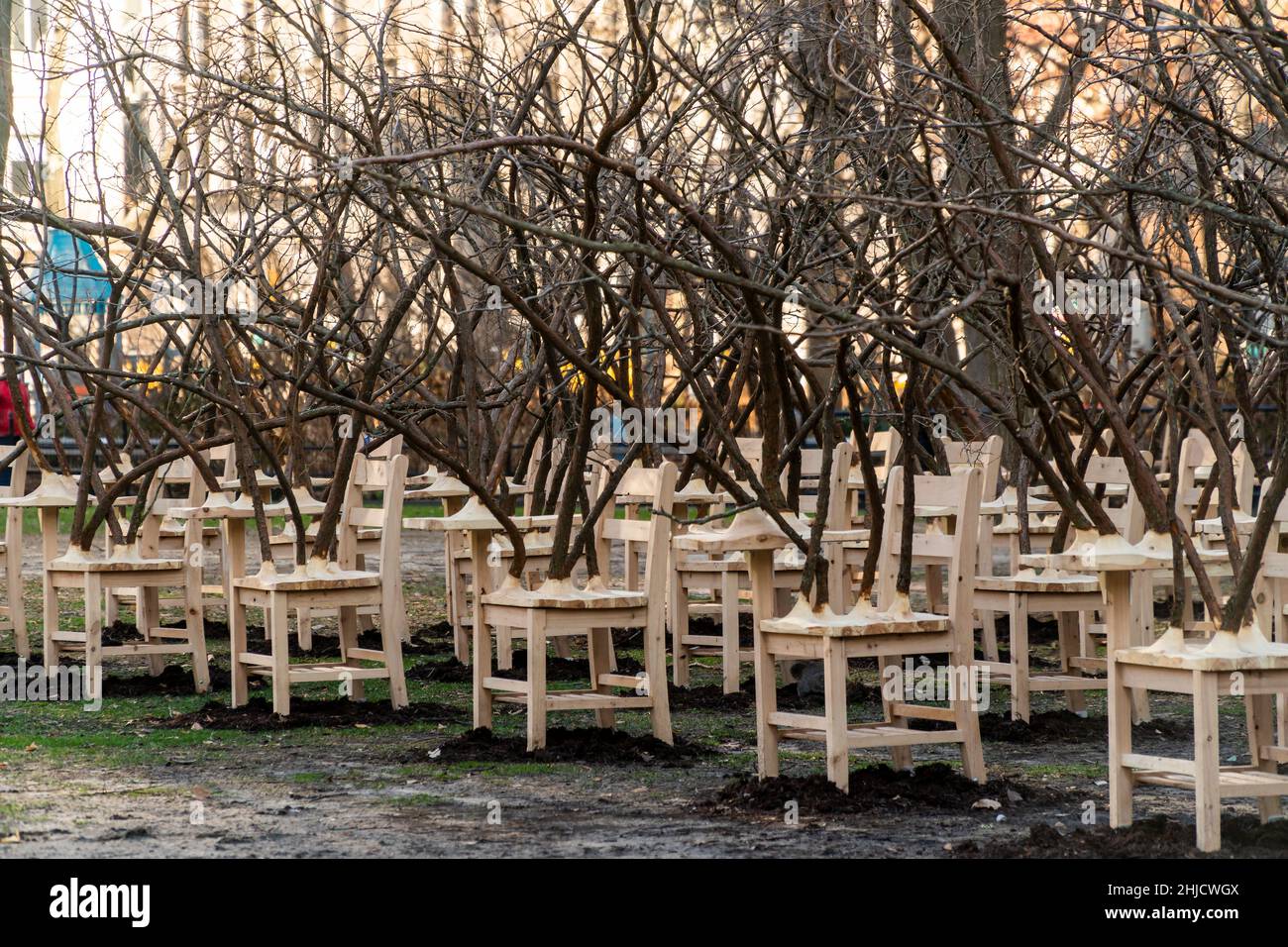 « BrierPatch » de l'artiste Hugh Hayden est vu sur une pelouse dans Madison Square Park à New York le mercredi 20 janvier 2022.Une centaine de bureaux d'école avec branches d'arbre émergent sont construits dans un modèle de grille référençant un patch de brier, qui est protecteur et dangereux en même temps.L'œuvre d'art publique sera en vue jusqu'au 24 avril 2022.(© Richard B. Levine) Banque D'Images