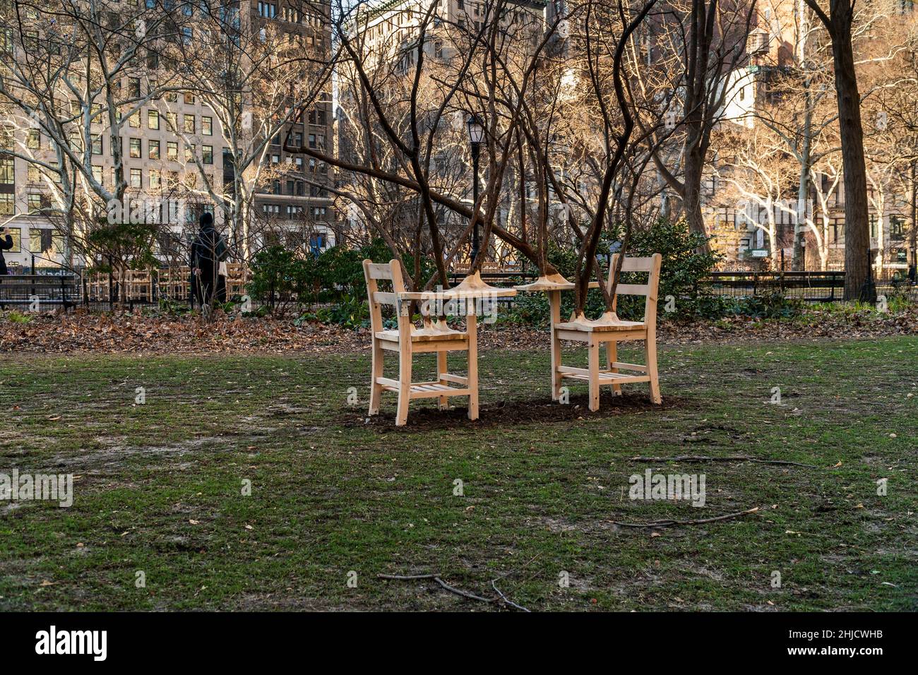 « BrierPatch » de l'artiste Hugh Hayden est vu sur une pelouse dans Madison Square Park à New York le mercredi 20 janvier 2022.Une centaine de bureaux d'école avec branches d'arbre émergent sont construits dans un modèle de grille référençant un patch de brier, qui est protecteur et dangereux en même temps.L'œuvre d'art publique sera en vue jusqu'au 24 avril 2022.(© Richard B. Levine) Banque D'Images