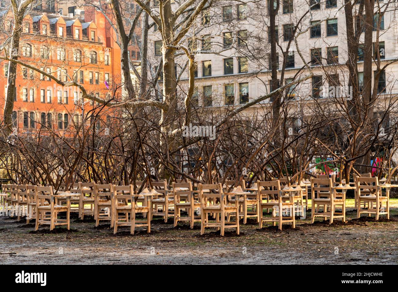 « BrierPatch » de l'artiste Hugh Hayden est vu sur une pelouse dans Madison Square Park à New York le mercredi 20 janvier 2022.Une centaine de bureaux d'école avec branches d'arbre émergent sont construits dans un modèle de grille référençant un patch de brier, qui est protecteur et dangereux en même temps.L'œuvre d'art publique sera en vue jusqu'au 24 avril 2022.(© Richard B. Levine) Banque D'Images