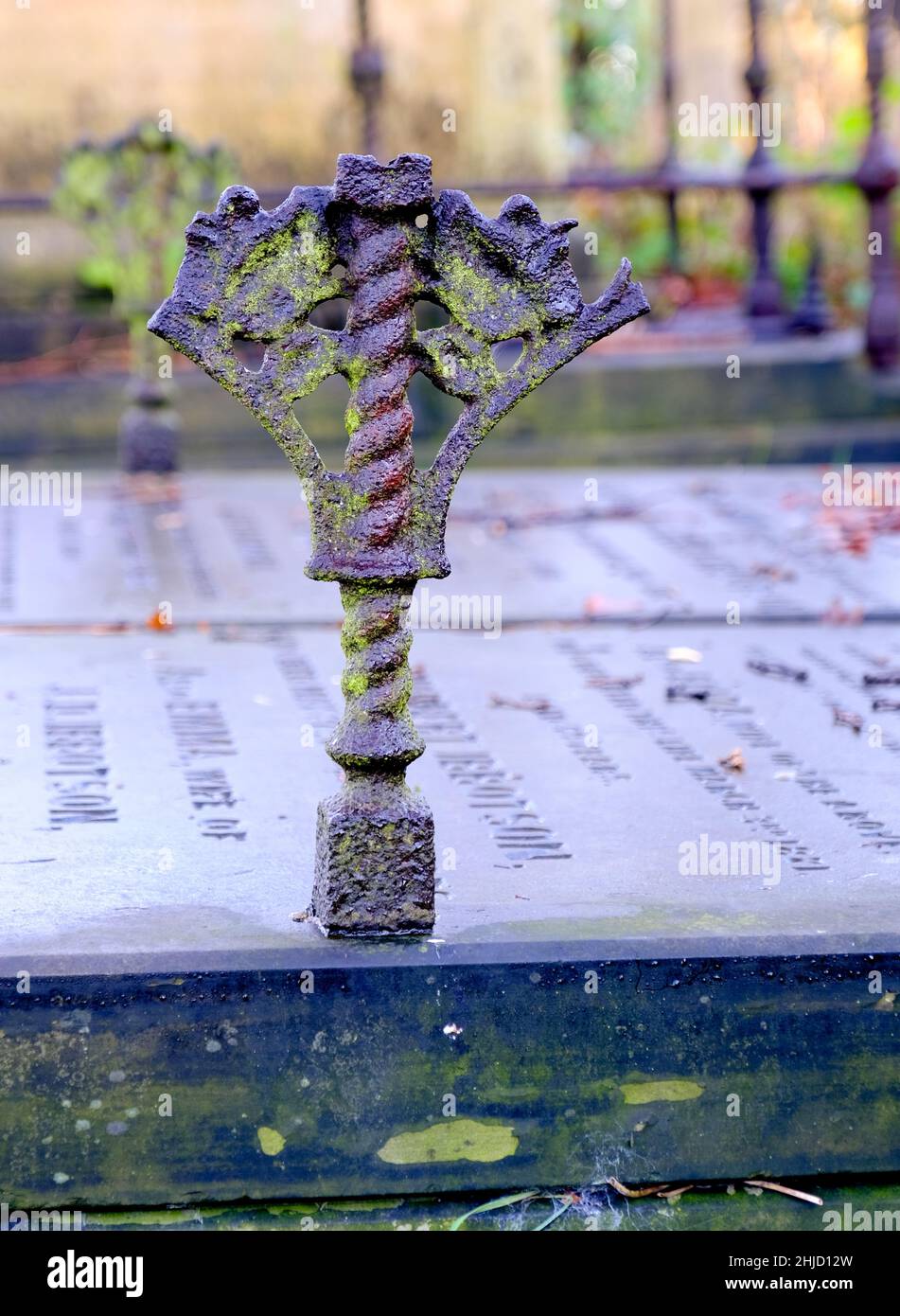 Cimetière général de Sheffield.Les chemins bordés d'arbres filent à travers un patchwork surcultivé de pierres tombales et de fer rouillé Banque D'Images