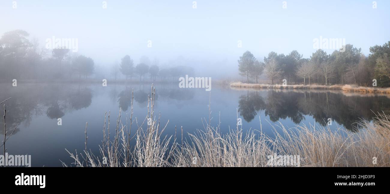 Gaillères, Etang de Massy en hiver Banque D'Images