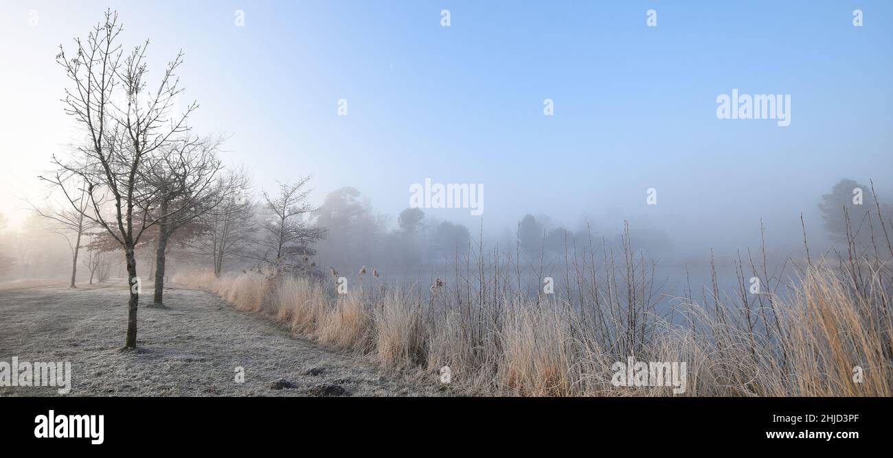 Gaillères, Etang de Massy en hiver Banque D'Images