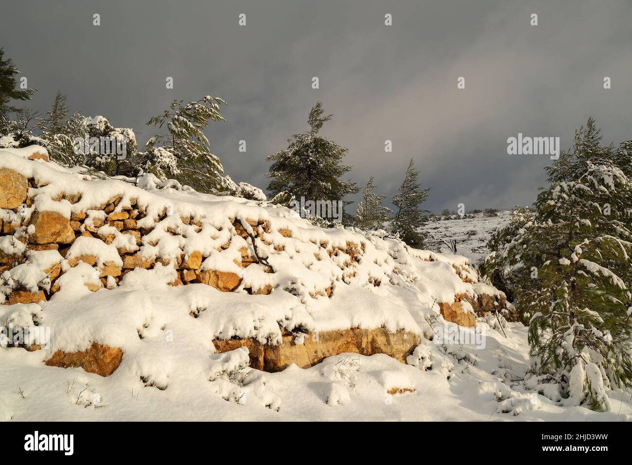 Neige recouvrant les montagnes de la Judée, près de Jérusalem, Israël, à l'aube. Banque D'Images