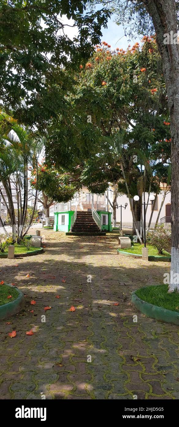 Jardin et pavillon ou kiosque à la place principale, place Maurino Dias do Nascimento, Minas Gerais, Brésil Banque D'Images