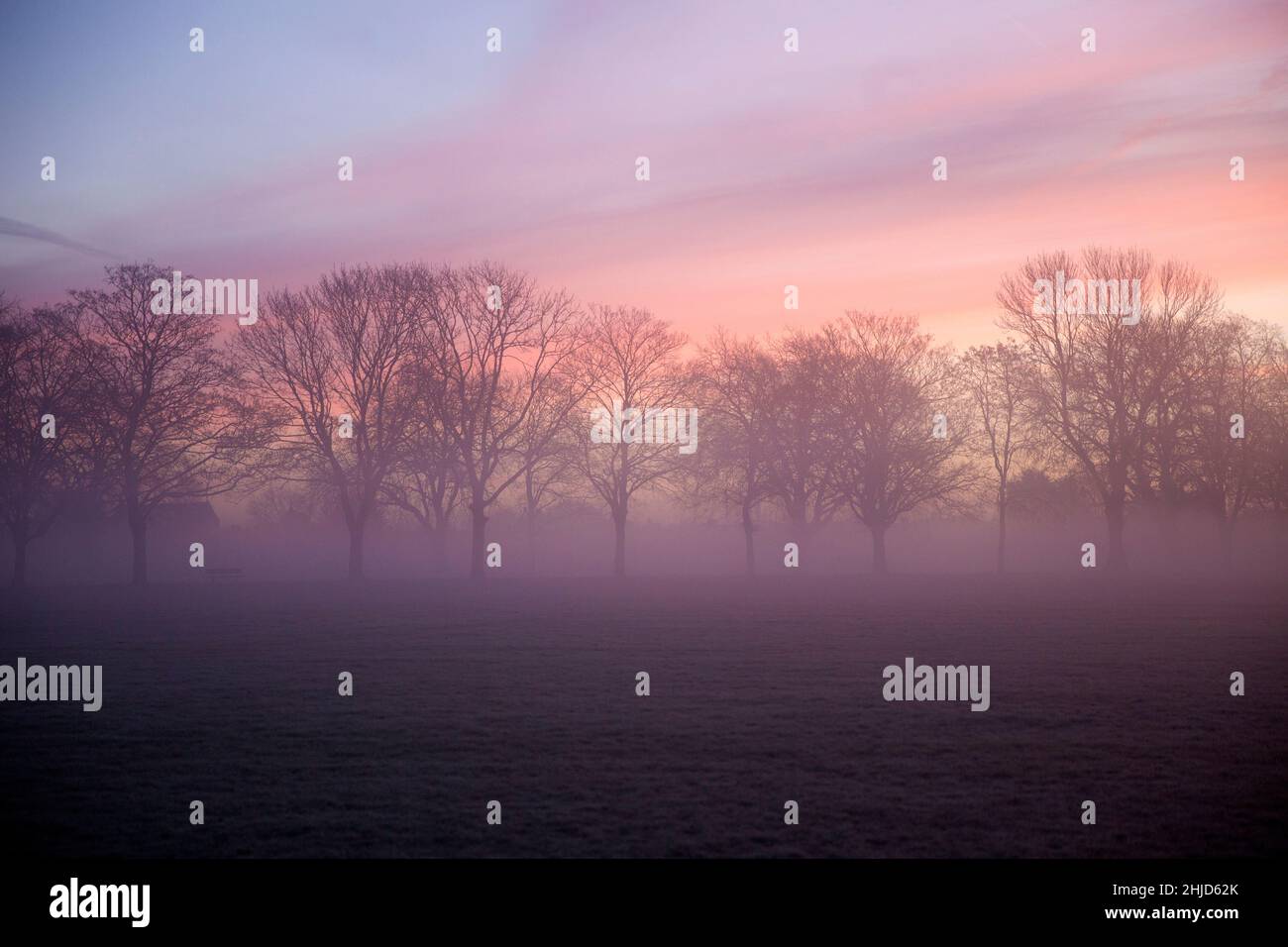 Un lever de soleil se fait jour dans un parc couvert de brume à Ilford, dans l'est de Londres, le matin. Banque D'Images