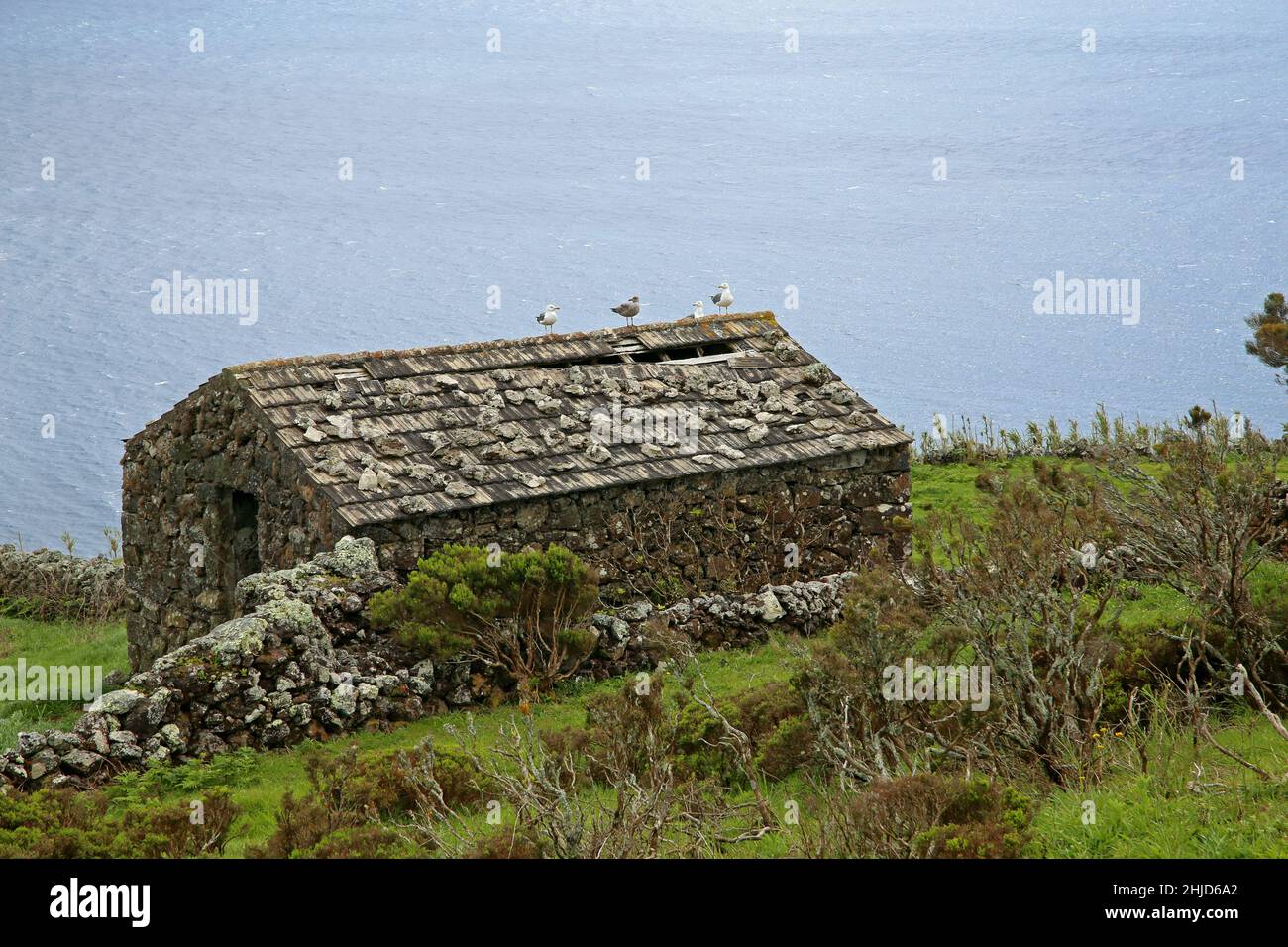 Steinhütte, cabane en pierre, Insel Corvo, Azoren, Açores, Caldeirao do Corvo Banque D'Images