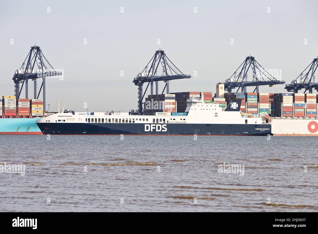 RO-RO (Roll On - Roll Off) navire de cargaison Gardenia Seaways entrant dans le port de Felixstowe, Suffolk, Royaume-Uni. Banque D'Images