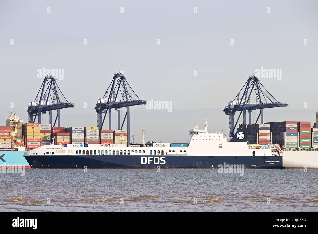 RO-RO (Roll On - Roll Off) navire de cargaison Gardenia Seaways entrant dans le port de Felixstowe, Suffolk, Royaume-Uni. Banque D'Images