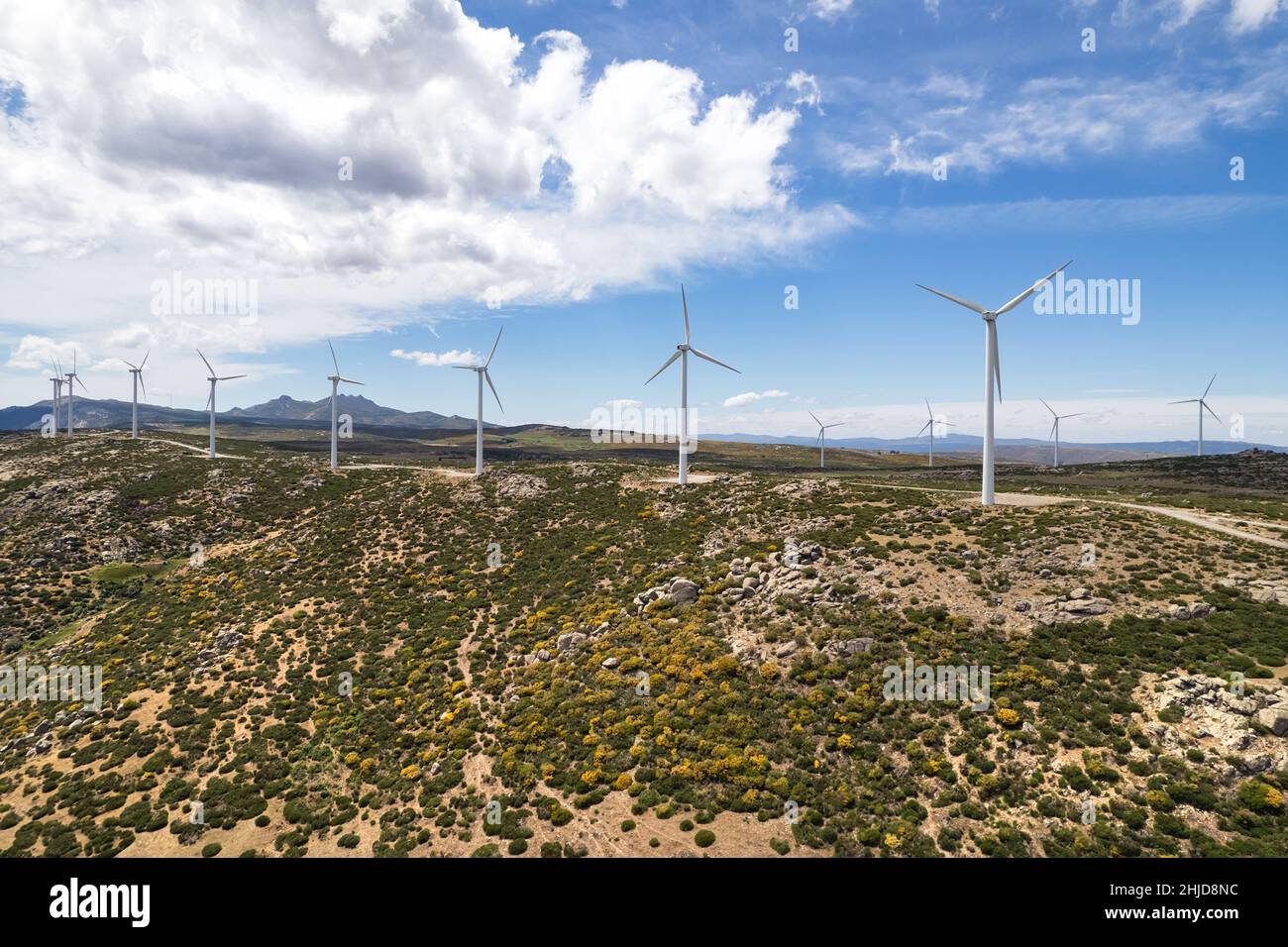 Drone point de vue déplacement de turbines de moulins à vent.Convertisseur d'énergie éolienne en électricité.Image panoramique, terres agricoles cultivées pendant l'été ensoleillé d Banque D'Images