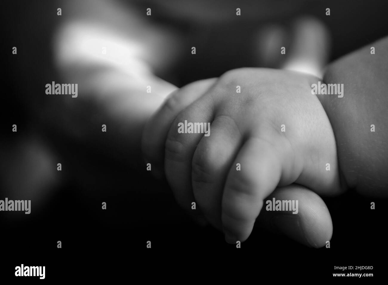 Gros plan photo en noir et blanc d'un bébé tenant le doigt de son parent Banque D'Images