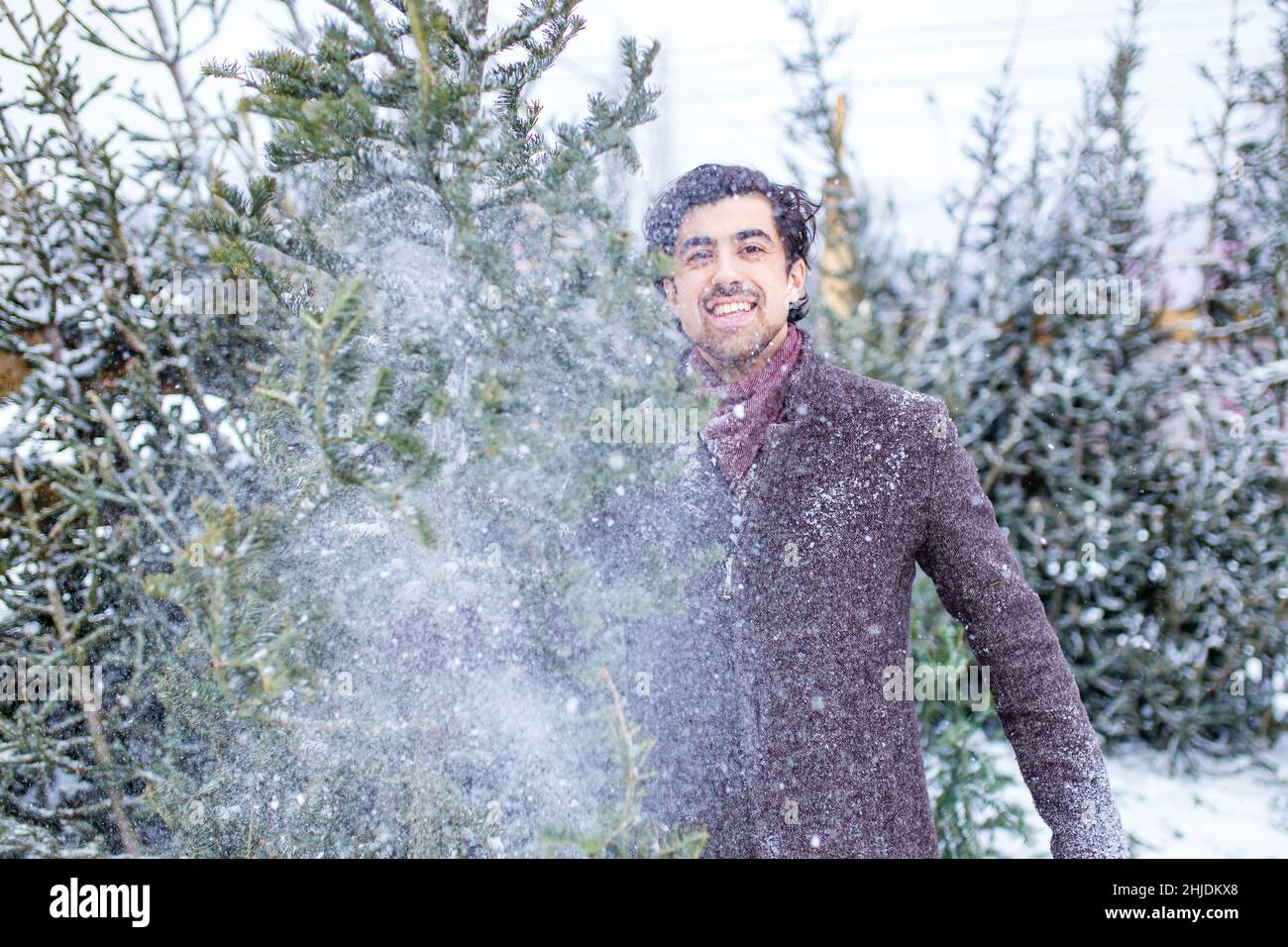 Homme italien achetant un arbre de Noël au nouvel an de Noël dans un magasin en plein air Banque D'Images