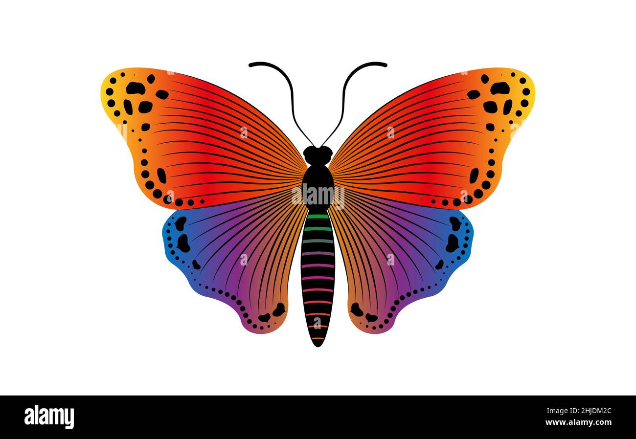 Texte décoratif comme un papillon avec illustration de modèle de logo de papillon coloré.Vector Design pour la mode, les imprimés d'affiche et de carte, isolé Illustration de Vecteur