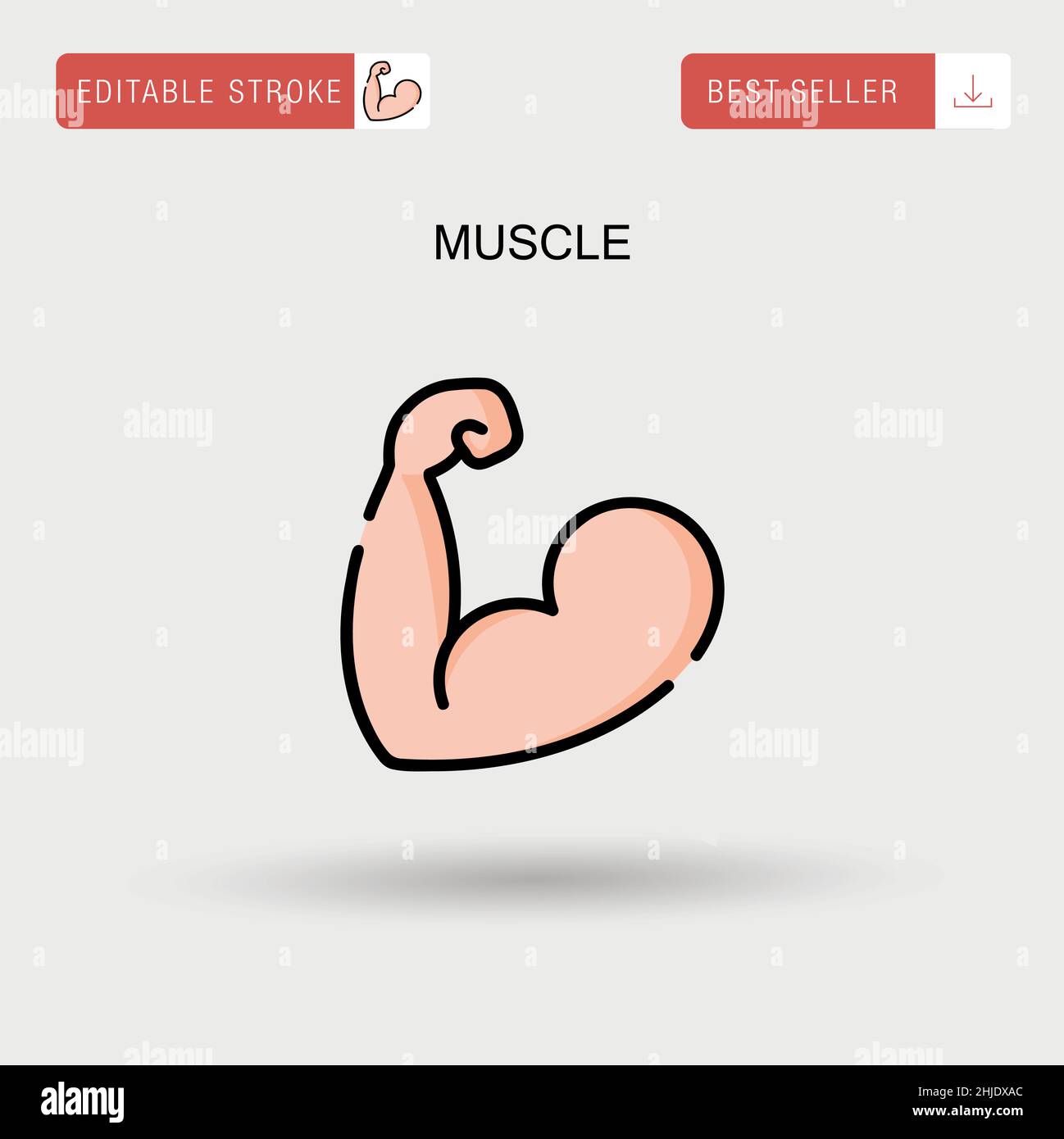 Icône de vecteur simple de muscle. Illustration de Vecteur