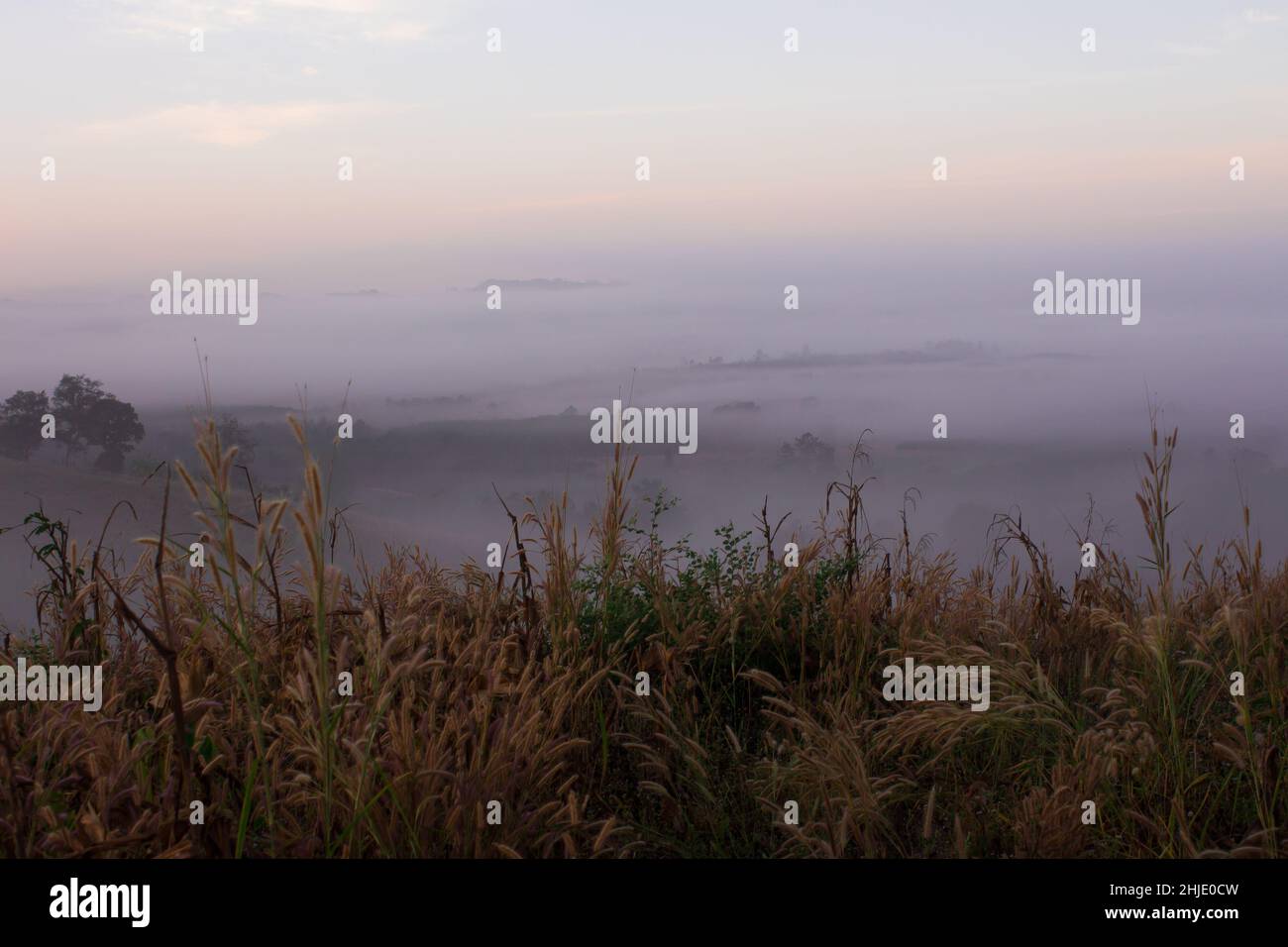 Brume sur la montagne. Banque D'Images