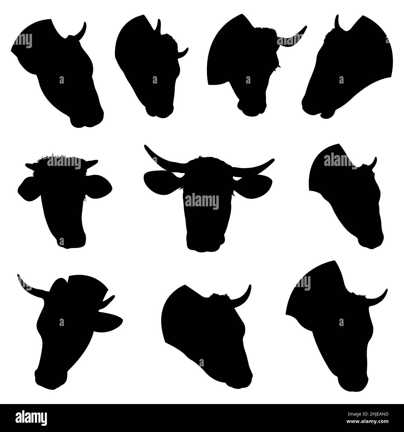 Collection de différentes têtes de vache isolées sur blanc Banque D'Images