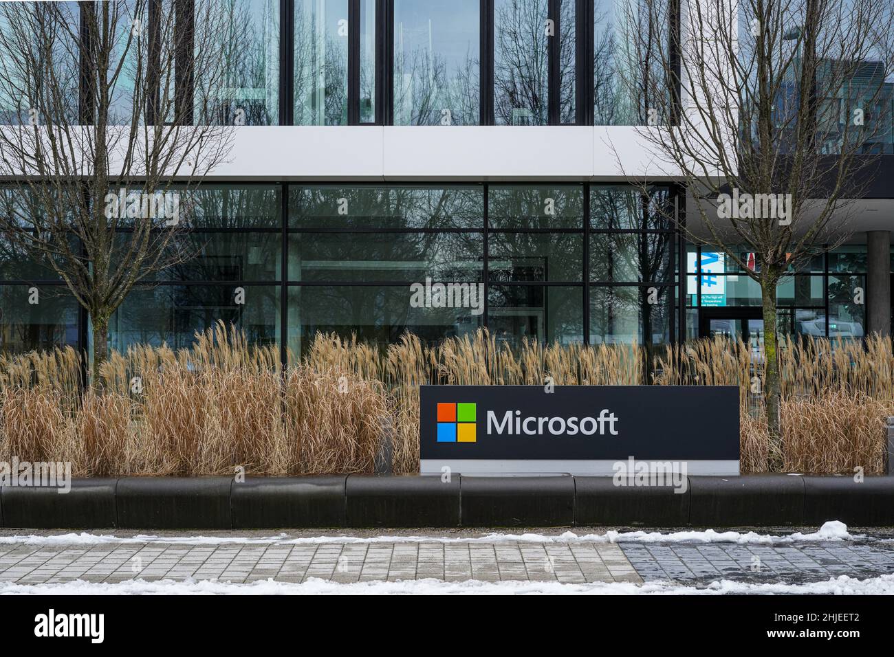 Logo de la société Microsoft devant l'entrée du siège de Microsoft Allemagne à Munich Schwabing. Banque D'Images