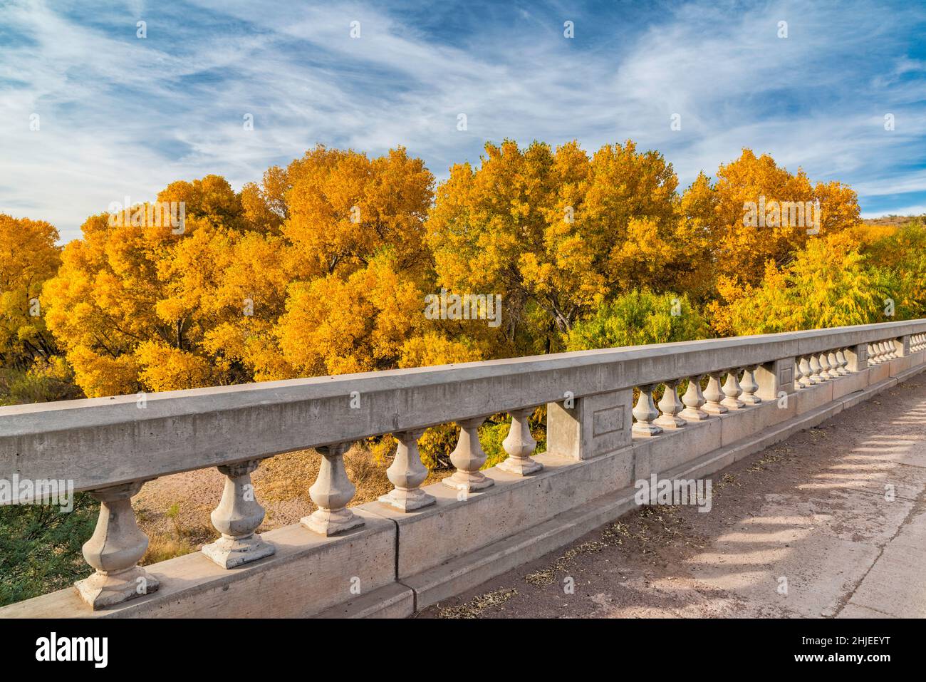 Pont Old Safford, au-dessus de la rivière Gila, arbres de coton, feuillage d'automne, zone nationale de conservation riveraine de Gila Box, près de Clifton, Arizona, États-Unis Banque D'Images