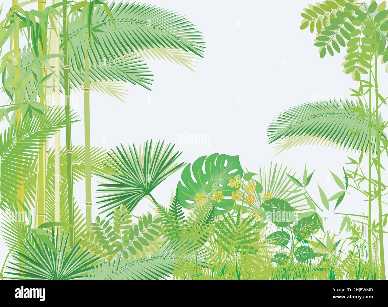 Forêt tropicale Jungle illustration, vecteur Illustration de Vecteur
