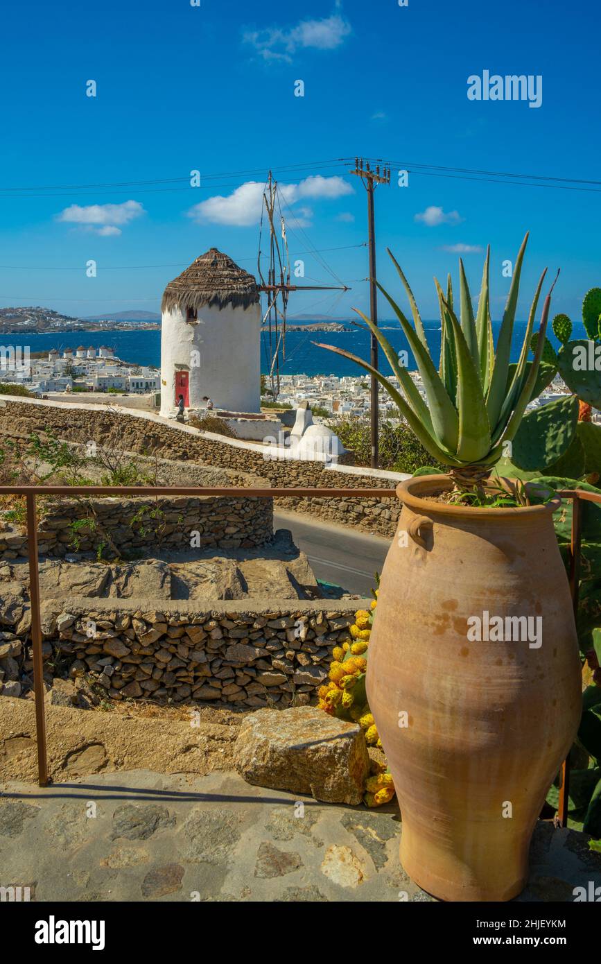 Vue en hauteur des moulins à vent et de la ville, ville de Mykonos, Mykonos, Cyclades, îles grecques,Mer Egée, Grèce, Europe Banque D'Images