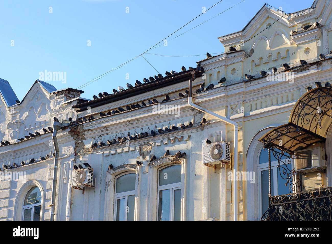 De nombreux pigeons sont installés sur la façade d'un ancien bâtiment du centre-ville.La destruction d'un monument architectural, des oiseaux, des conditions météorologiques. Banque D'Images