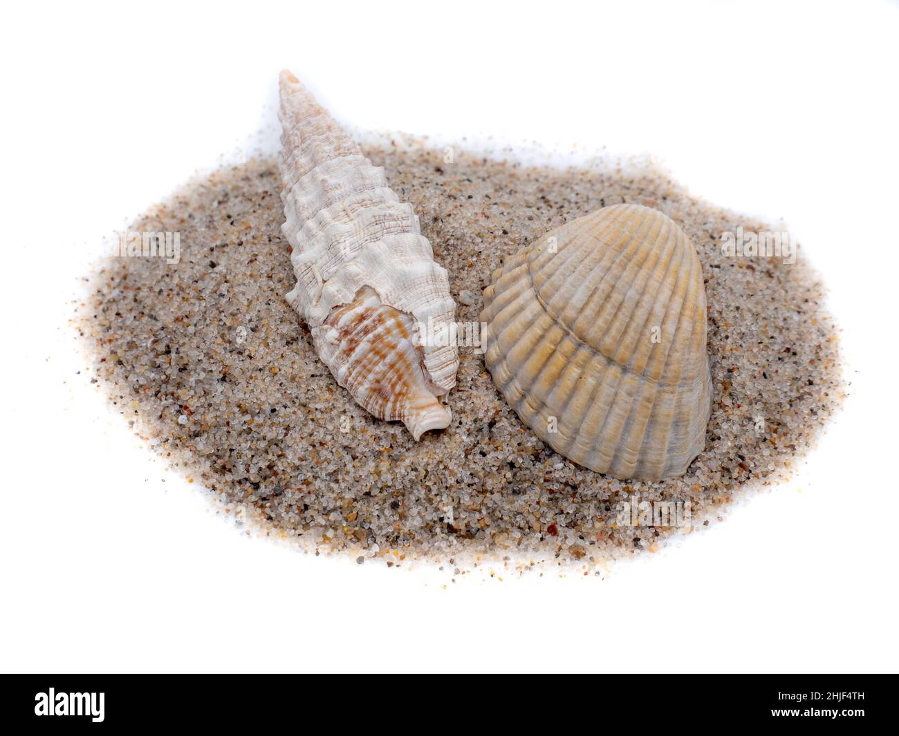 Coquillages et sable isolés sur fond blanc Banque D'Images