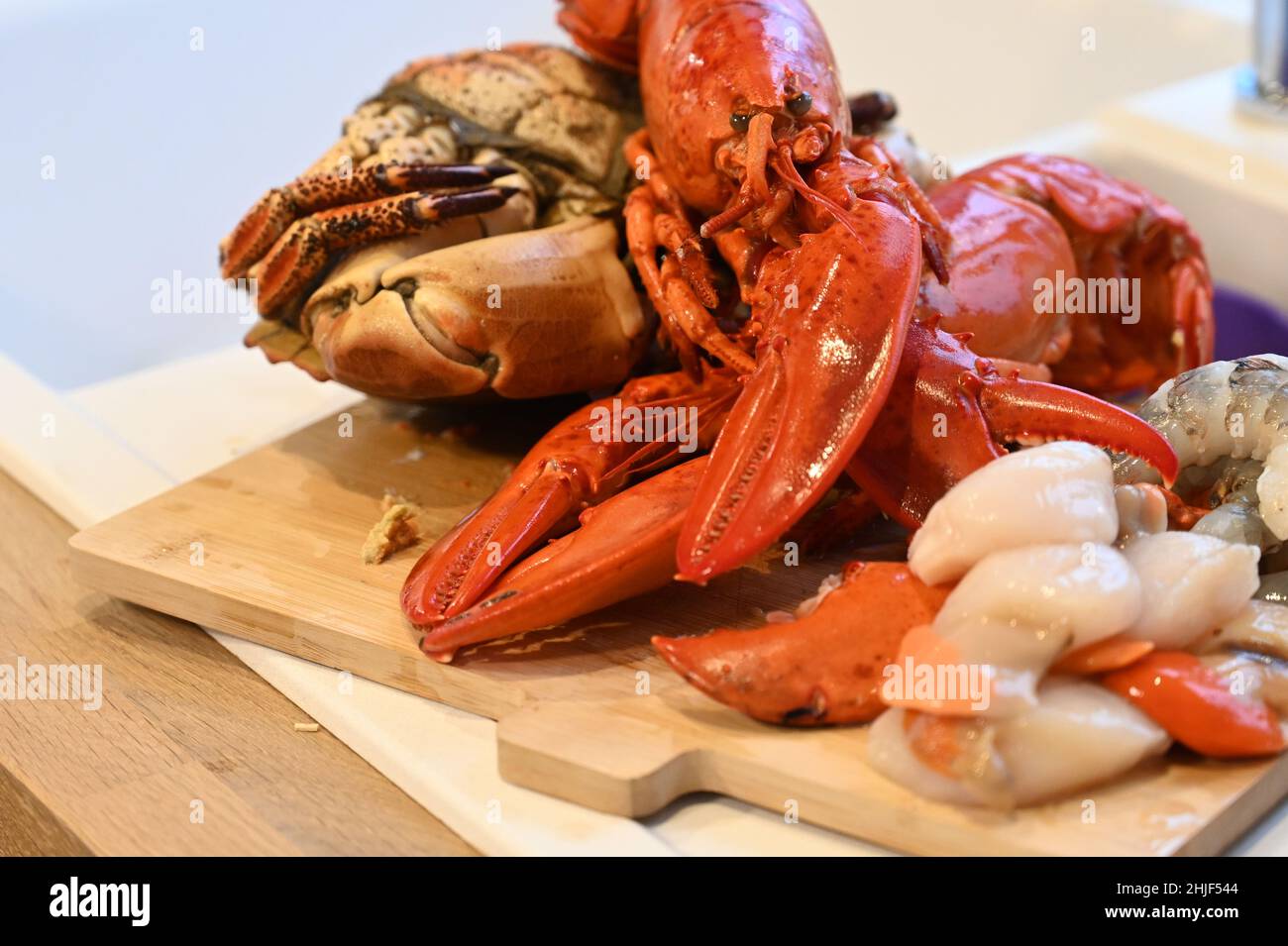 Le pagurus du cancer a cuit le crabe, le homard canadien, les pétoncles frais crus et les crevettes fraîches crues sur un plan de cuisine en bois Banque D'Images