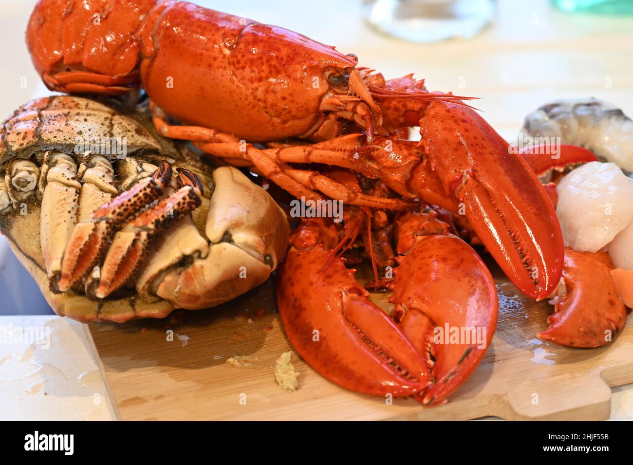 Le pagurus du cancer a cuit le crabe, le homard canadien, les pétoncles frais crus et les crevettes fraîches crues sur un plan de cuisine en bois Banque D'Images