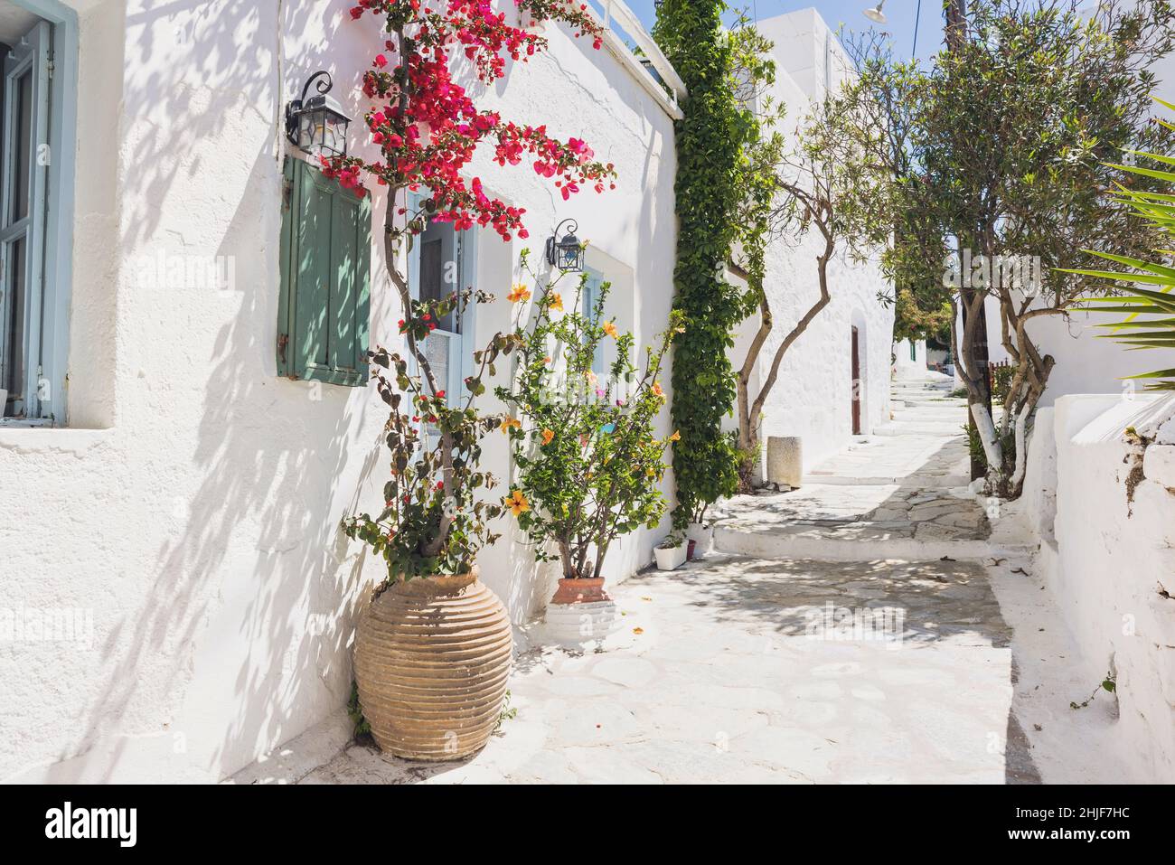 Rue grecque traditionnelle avec des fleurs dans l'île d'Amorgos, Grèce Banque D'Images