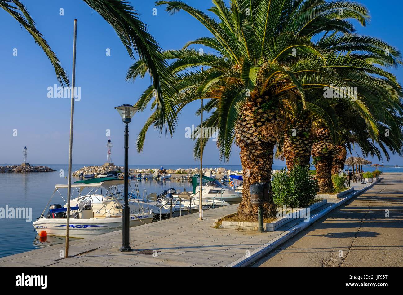 Skala Sotira, Thassos, Grèce - palmiers sur la promenade du port du petit village de pêcheurs Skala Sotira.Thassos appartient à l'est de la Macédoine et Banque D'Images