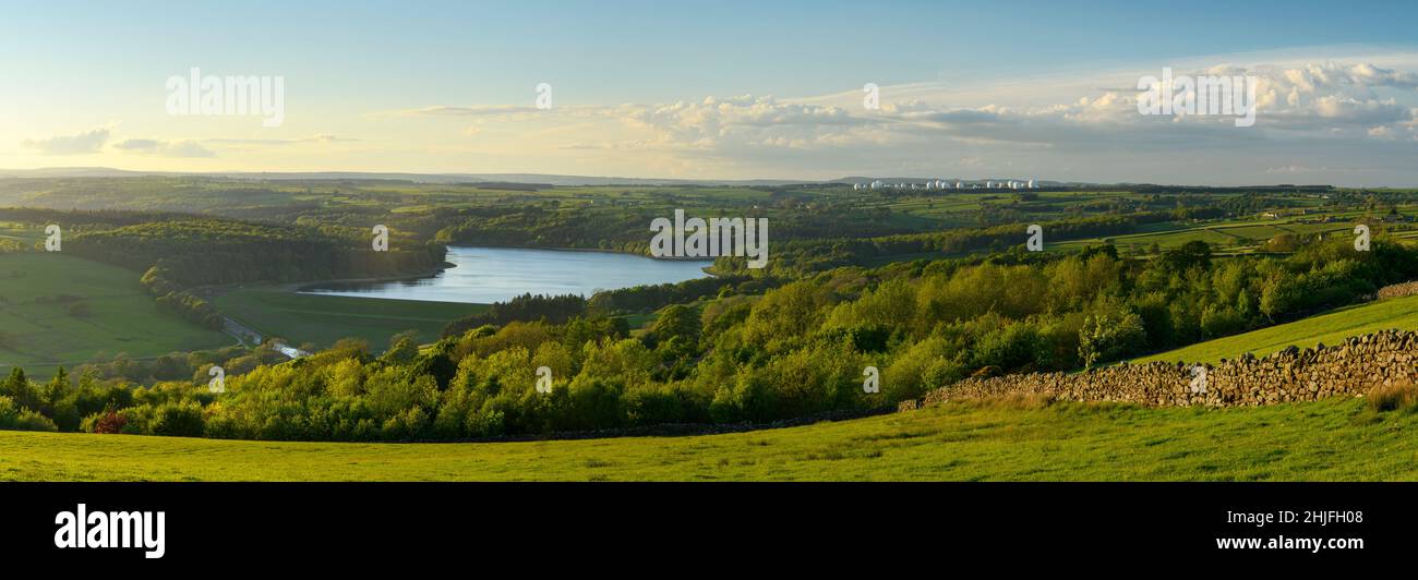 Panorama ensoleillé de longue distance en soirée (collines boisées, mur en pierre sèche, eau calme du réservoir Swinsty - Washburn Valley, Yorkshire, Angleterre, Royaume-Uni. Banque D'Images