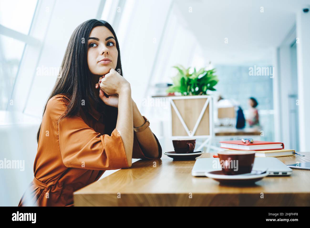 Femme pensive au café pendant la pause-café Banque D'Images