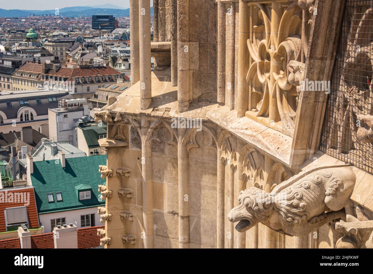 Gargoyle sur la cathédrale Saint-Étienne, Vienne, Autriche Banque D'Images