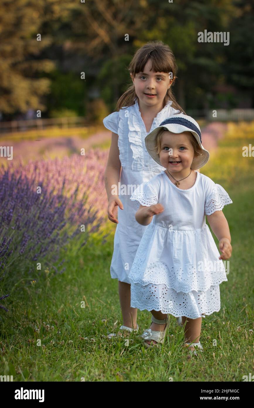 Deux petites Sœurs se courrent dans Un champ de lavande, la grande sœur  aide la petite sœur Photo Stock - Alamy