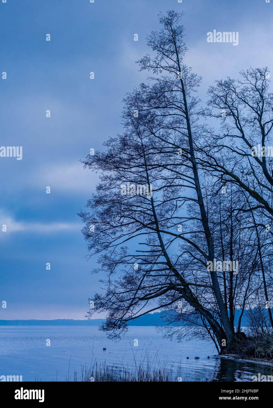 Soirée hivernale froide à Starnberger See, Stegen, Fuenfseenland, haute-Bavière, Bavière,Allemagne, Europe Banque D'Images