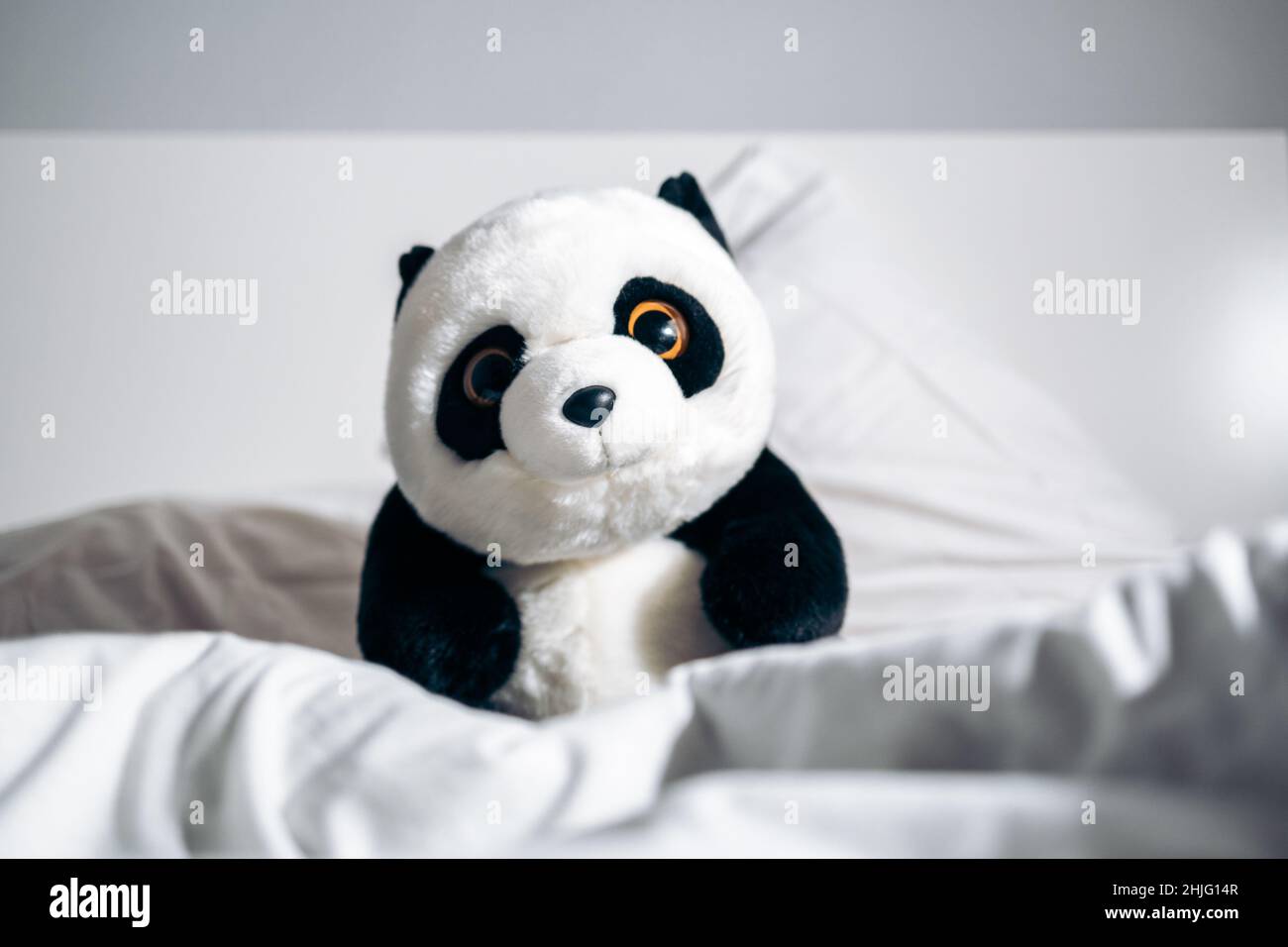 Un ours en peluche panda dans un lit placé entre les couvertures et regardant la caméra Banque D'Images