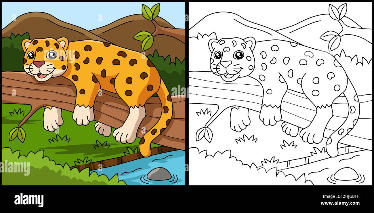 Illustration du vecteur de page de coloriage Jaguar Illustration de Vecteur