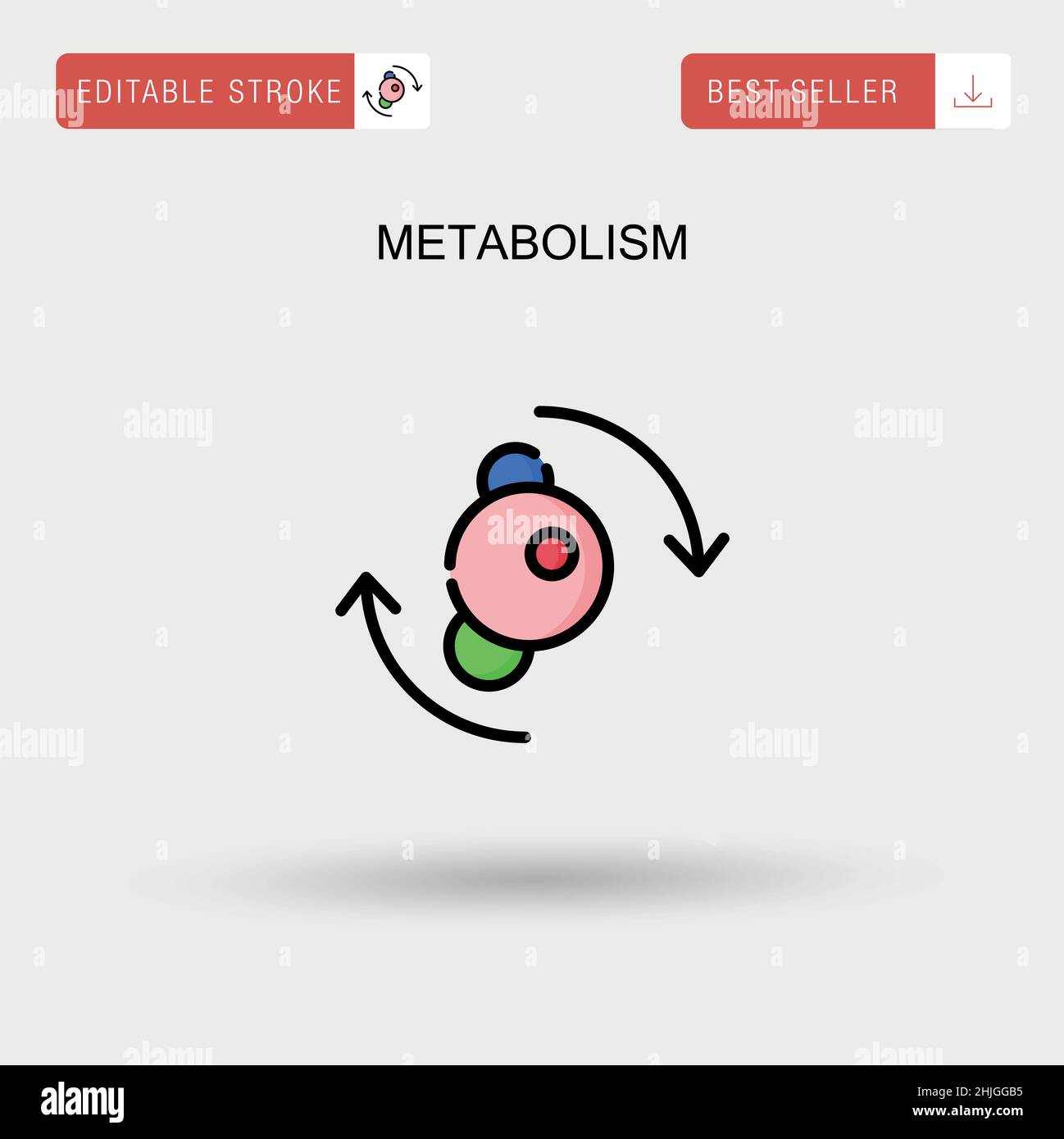 Icône de vecteur simple du métabolisme. Illustration de Vecteur