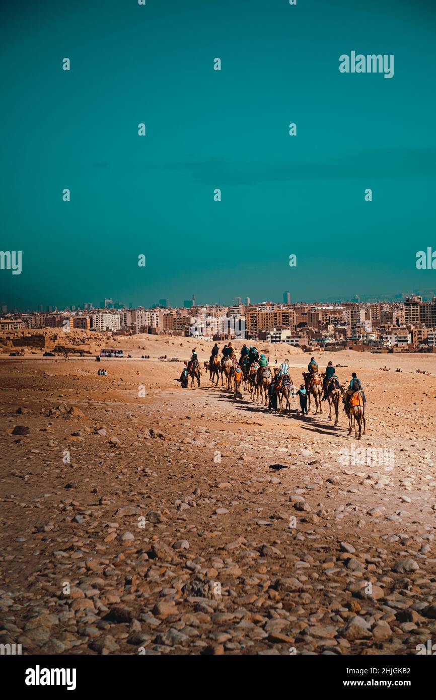 Les touristes qui voyagent dans un convoi de chameaux autour des grandes pyramides de gizeh.Plan vertical avec des bâtiments dans la ville du caire en arrière-plan Banque D'Images