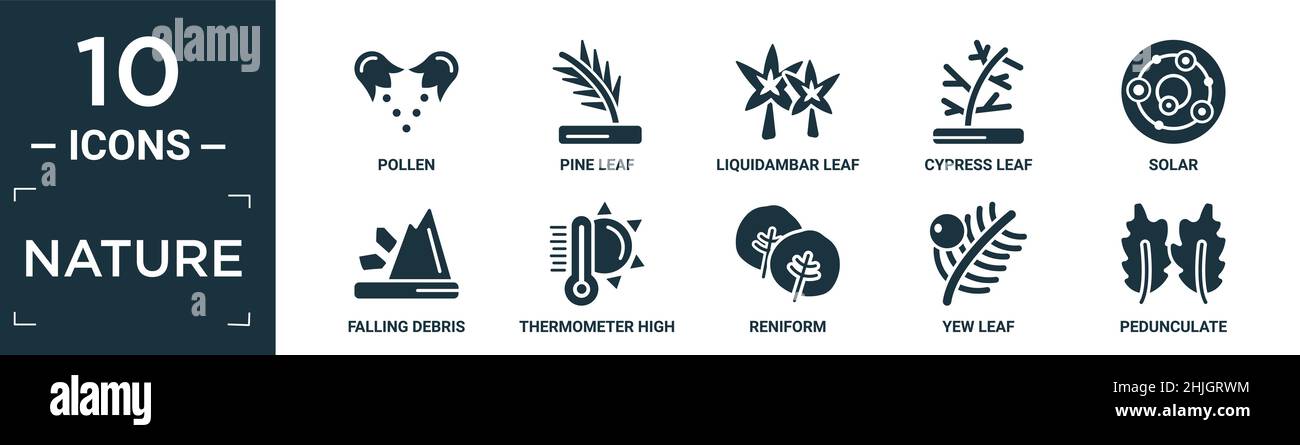 ensemble d'icônes nature remplies. contiennent du pollen plat, des feuilles de pin, des feuilles de liquidambar, des feuilles de cyprès, des panneaux solaires,chute de débris, température élevée du thermomètre, reniforme, Illustration de Vecteur