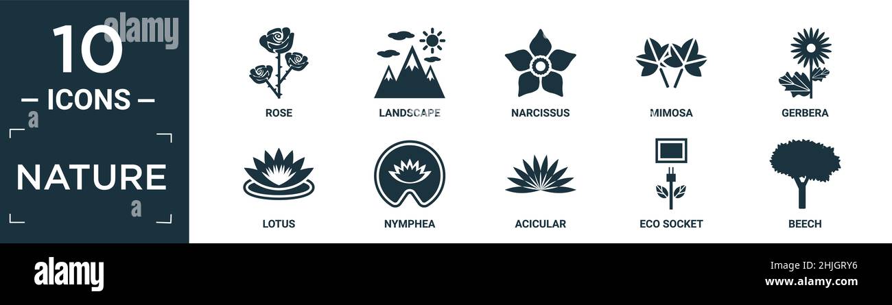ensemble d'icônes nature rempli. contient rose plate, paysage, narcisse, mimosa, gerbera,lotus, nymphea, acicular, eco socket, beech icônes en format modifiable Illustration de Vecteur ensemble d'icônes nature rempli. contient rose plate, paysage, narcisse, mimosa, gerbera,lotus, nymphea, acicular, eco socket, beech icônes en format modifiable Illustration de Vecteur