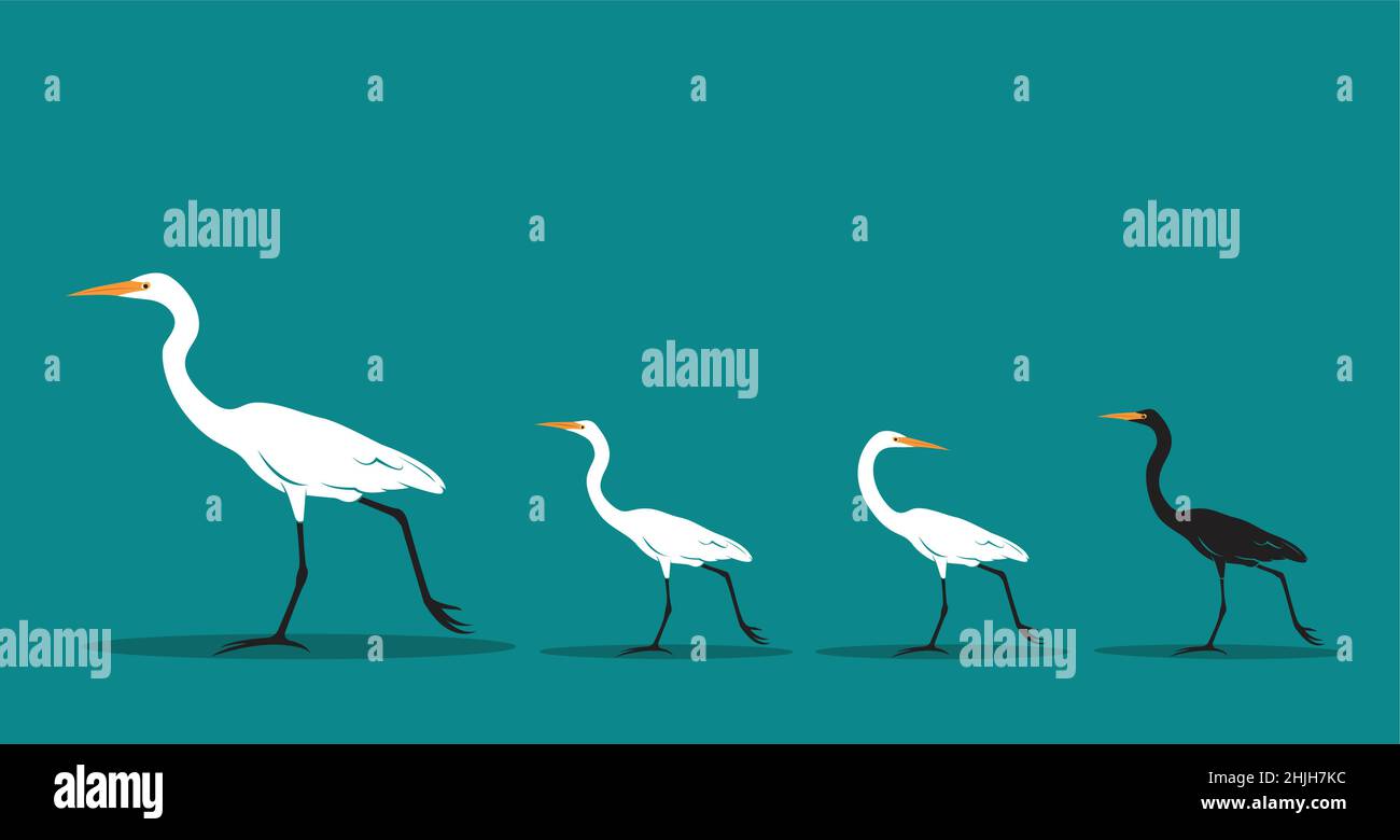 Vecteur d'oiseau de marche sur fond bleu, concept de différence.Idée d'animal.Illustration vectorielle superposée facile à modifier.Animaux sauvages. Illustration de Vecteur