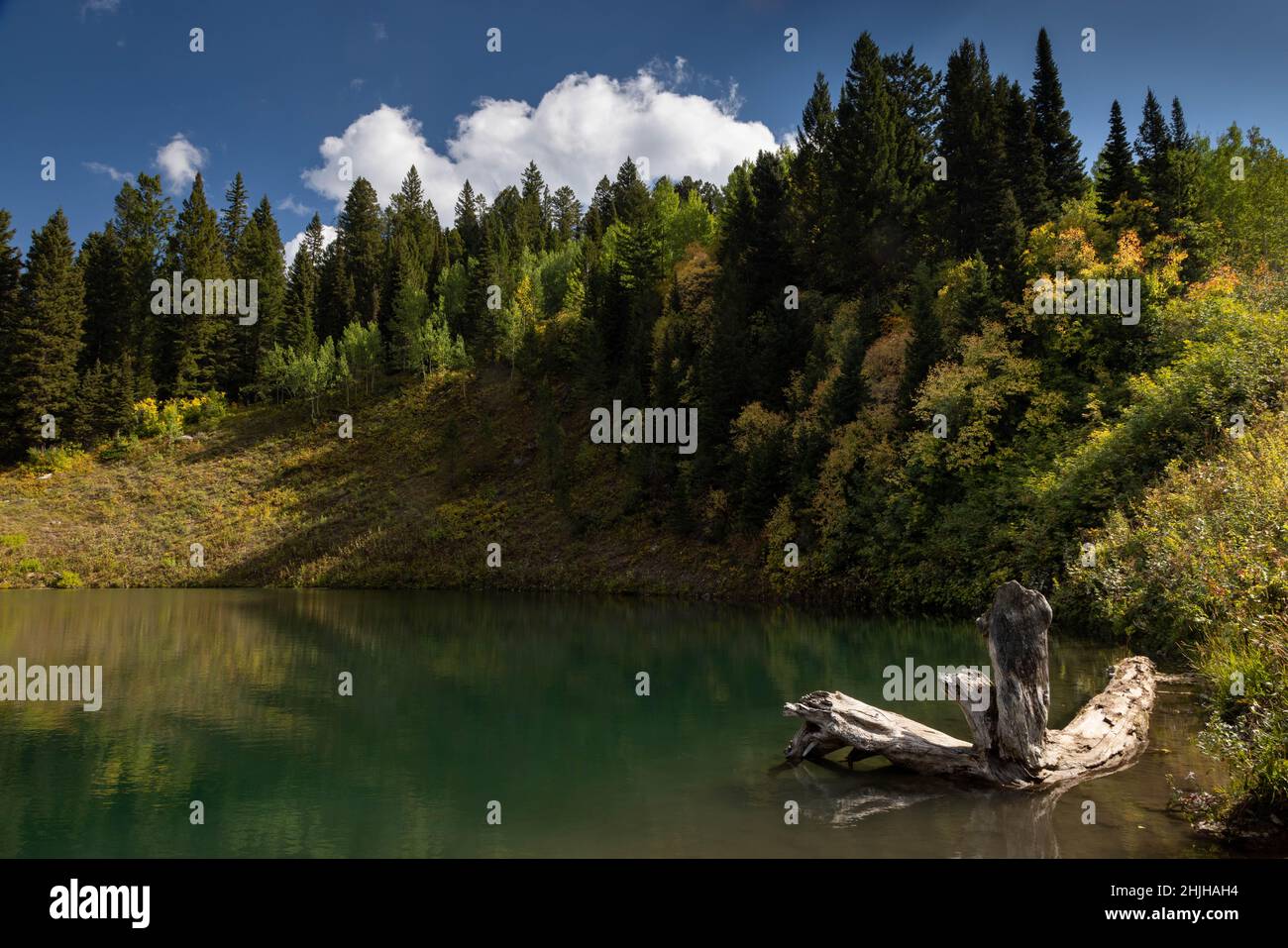 Le petit lac glaciaire nommé Crater Lake, dans les montagnes Teton, se reposant tranquillement parmi les couleurs du début de l'automne.Forêt nationale de Bridger-Teton, Wyoming Banque D'Images