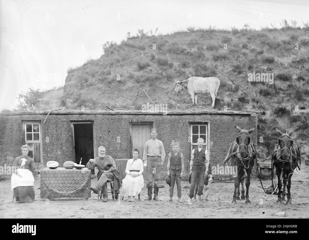 Soloman d'Butcher - Sylvester Rawding Sod House, au nord de Sargent, comté de Custer, Nebraska, 1886 Banque D'Images