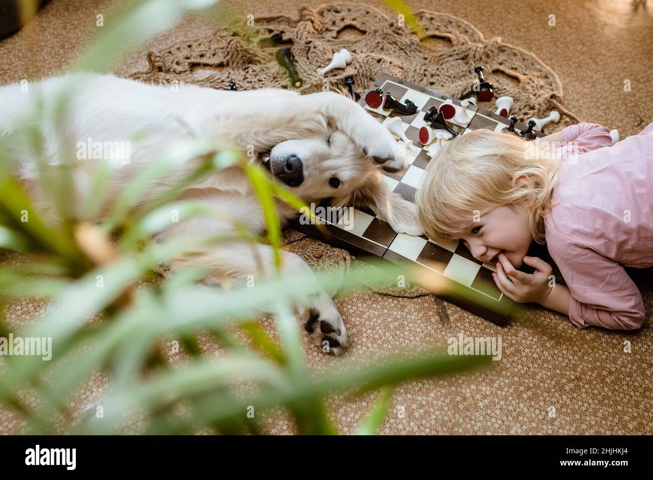 une fille avec un chien se trouve sur le sol et s'amuser à jouer ensemble.Golden Retriever chiot et petite fille se reposant après une partie d'échecs Banque D'Images