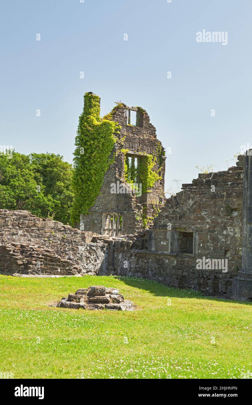 Ruines de l'abbaye de Neath (douzième siècle), Neath Port Talbot, pays de Galles du Sud, Royaume-Uni Banque D'Images
