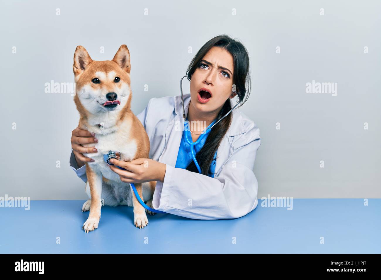 Belle femme vétérinaire hispanique vérifiant la santé de chien en colère et fou criant frustré et furieux, criant avec la colère regardant vers le haut. Banque D'Images