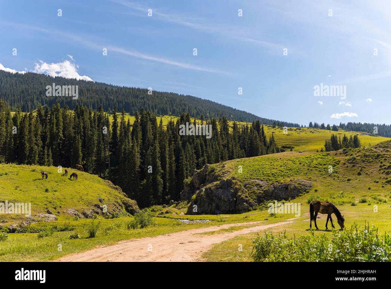 Paysage d'été avec montagnes et chevaux de pâturage .Plateau Assy, Kazakhstan. Banque D'Images