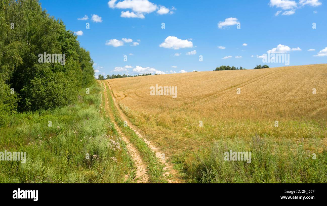 Routes de campagne à travers les champs de ferme dans la campagne Banque D'Images