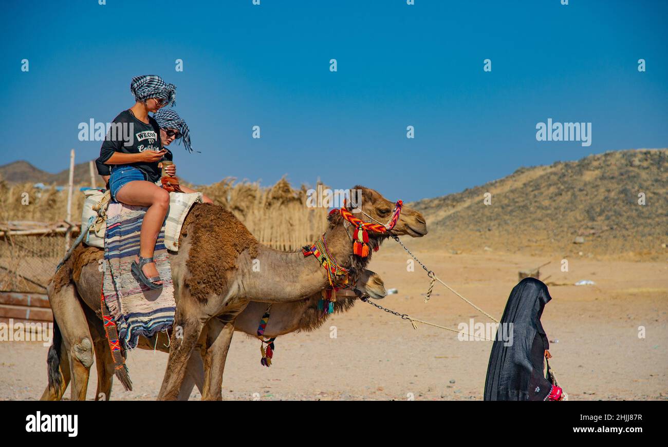 Les touristes qui voyagent en chameaux en Égypte sont conduits par les habitants de la région pour s'amuser Banque D'Images