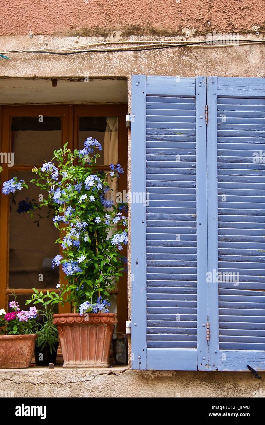 Fenêtre avec volet de fenêtre bleu et une plante à fleurs Blue Plumbago en Provence en France. Banque D'Images